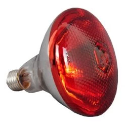 Commercial Food Warmer 3 Heating Lamps | Adexa WL750 -Cheap Adexa Store WL bulb 1200x1200 2