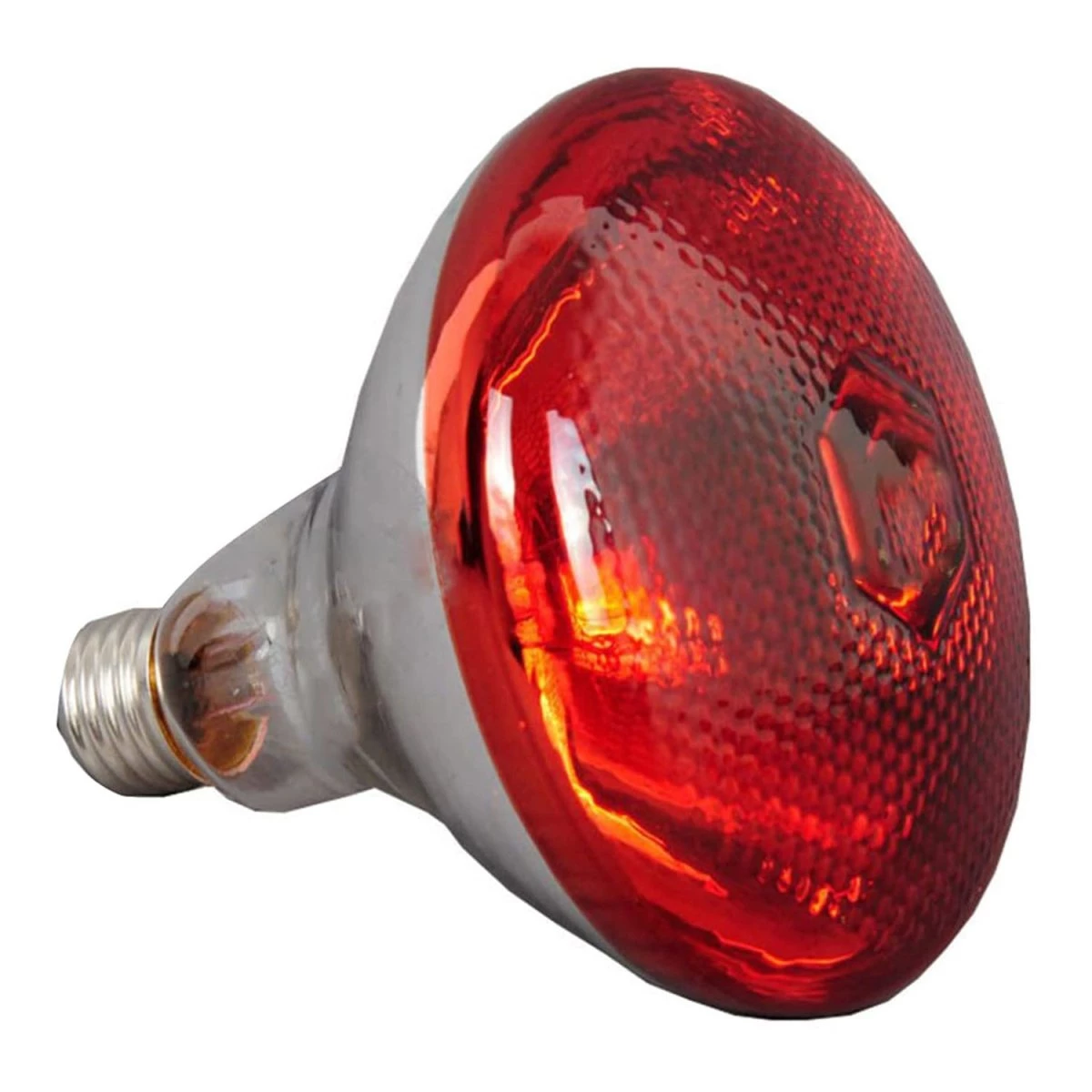 Commercial Food Warmer 5 Heating Lamps | Adexa WL1375 5 Commercial Food Warmer 5 Heating Lamps | Adexa WL1375 - Image 3